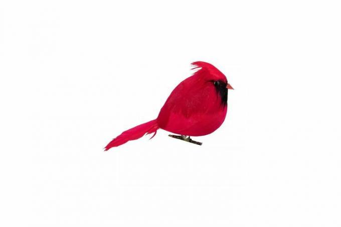 Przypinana ozdoba Northlight Red Cardinal