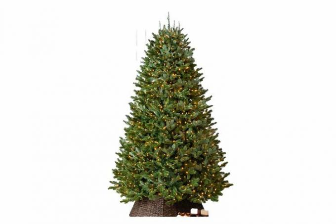 BH Fraser FirÂ® Tree