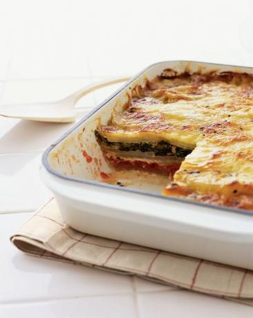 Lasagne Ziemniaczana